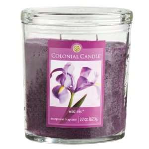  Set of 2 Wild Iris Scented Jar Candles 22oz by Colonial 