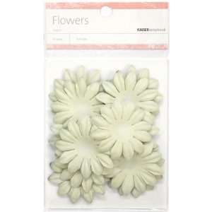  Kaisercraft Mint Paper Flowers, 5cm Arts, Crafts & Sewing