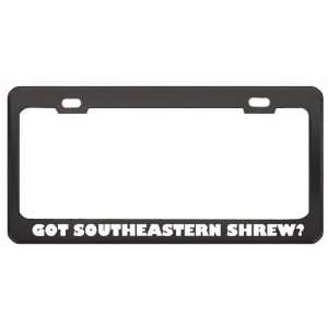Got Southeastern Shrew? Animals Pets Black Metal License Plate Frame 
