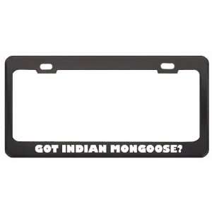 Got Indian Mongoose? Animals Pets Black Metal License Plate Frame 