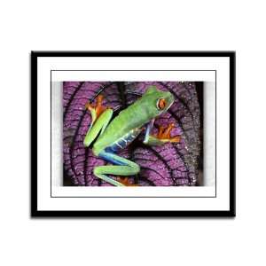   Framed Panel Print Red Eyed Tree Frog on Purple Leaf 