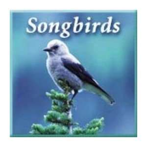  Songbirds Nature Music Bird CD 