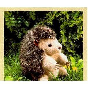  Stuffed Hedgehog Toys & Games