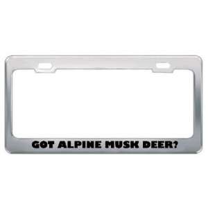 Got Alpine Musk Deer? Animals Pets Metal License Plate Frame Holder 