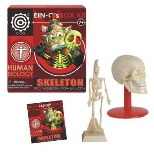  EIN Os Skeleton Box Kit by TEDCO Toys & Games