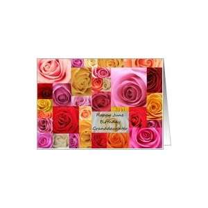   patchwork roses   Rose June Birth Month Flower Card Toys & Games