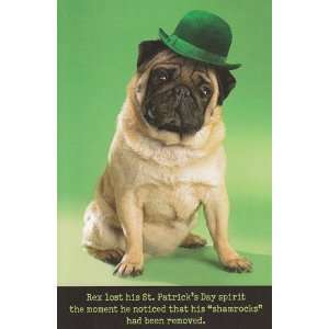 Patricks Day Card Rex Lost His St. Patricks Day Spirirt the Moment 