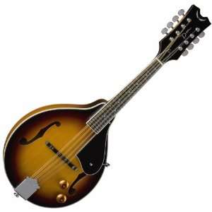   AE A STYLE VINTAGE ACOUSTIC ELECTRIC MANDOLIN Musical Instruments