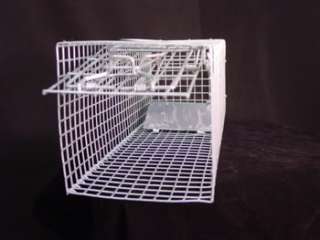   LIVE HUMANE PEST RODENT CONTROL TRAP CAGE MICE RATS SQUIRRELS  