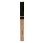 Maybelline Concealer Fit Me ( Wand Type ) #25 Medium    