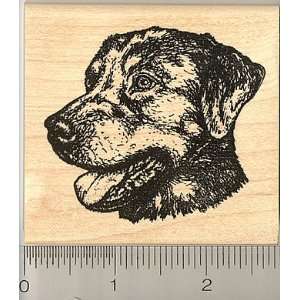  Rottweiler Dog Rubber Stamp Arts, Crafts & Sewing