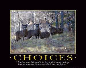 CHOICES WHITETAIL DEER POSTER, DEER SHEDS, 18 X 24  