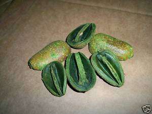 WHLSE) 5 LB 1/2 PEAR PODS GREEN OR NATURAL PEACH PITS  