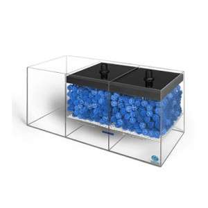  COMPLETE SYSTEM w/Overflow Box 200g and up Live Coral FREE SHIP