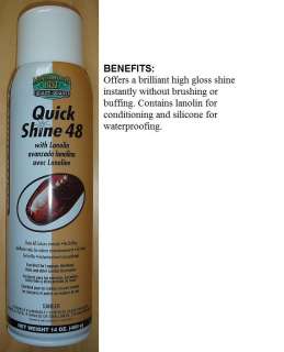 Moneysworth & Best Quick Shine 48 Shoe Spray 14 oz  