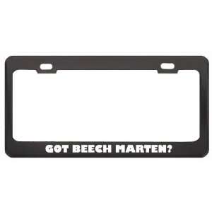 Got Beech Marten? Animals Pets Black Metal License Plate Frame Holder 