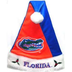  Florida Gators Colorblock Santa Hat