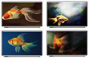 Gold Fish Laptop Netbook Skin Decal Cover Sticker Art  