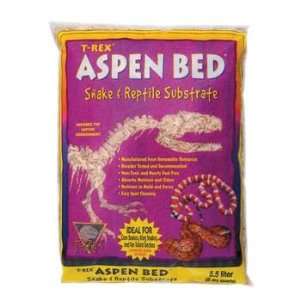 T Rex Aspen Bed   10 qt
