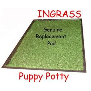  Ingrass Puppy Potty Genuine Replacement Pad Everything 