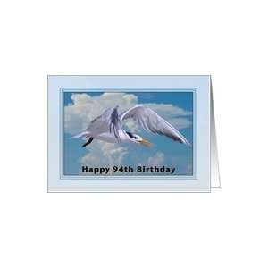  Happy Birthday, 94th, Royal Tern Bird Card Toys & Games