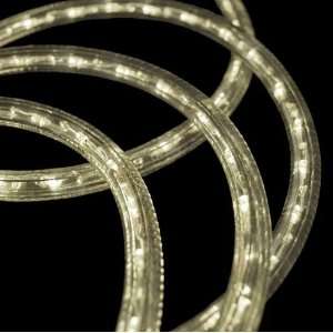 com Warm White LED Rope Light, 12 Volt   2 Wire 1/2 (13mm), 12V LED 