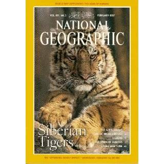 National Geographic Siberian Tigers …