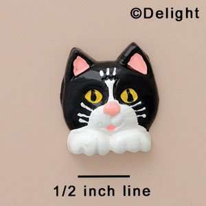  White Cat Face with Paws   Flat Back Resin Decoration