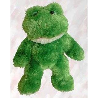 Teenie Teddies Frog 7   Make Your Own Stuffed Animal Kit w/T shirt