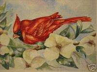 Cardinal bird dogwood wildlife print of painting  