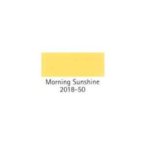   COLOR SAMPLE Morning Sunshine 2018 50 SIZE2 OZ.