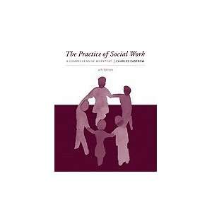  Practice of Social Work A Comprehensive Worktext 