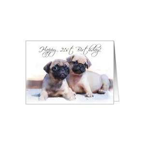  Happy 21st Birthday, Pug Puppies Card Toys & Games
