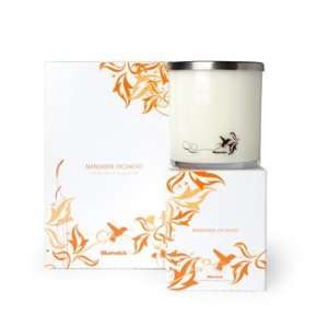  Bluewick Parker Collection Soy Travel Candle Everything 