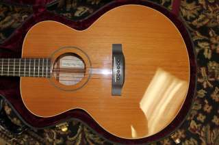 Nelson small jumbo acoustic guitar  