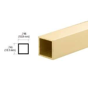  CRL 3/4 (19mm) Gold Anodized Square Tube Extrusion   12 