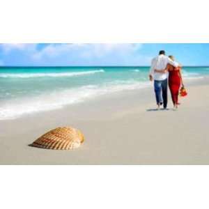  Couple and Seashell on Tropical Beach   48W x 28H   Peel 