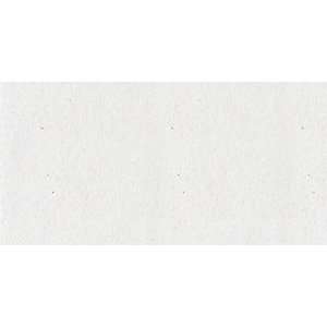  Westrim 8 1/2 Inch by 11 Inch Cardstock 10/Package, White 