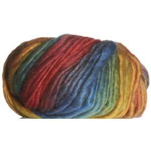  Crystal Palace Chunky Mochi Yarn 805 Tapestry Rainbow 