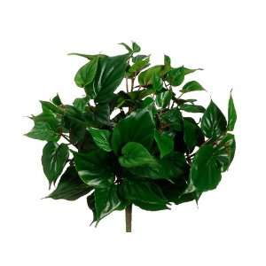  15 Water Resistant Philodendron Bush x7 Green (Pack of 12 