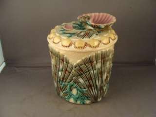 ANTQUE ETRUSCAN MAJOLICA CLAM SHELL SEAWEED COVERED JAR  