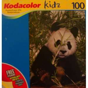  Kodacolor Kidz Pretty Panda 100 Piece Jigsaw Puzzle Toys 