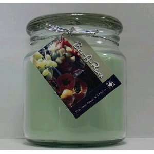   Scented Soy 16oz Classic Jar Candle   Passion Fruit & Guava Beauty