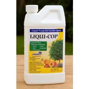  Monterey LG3105/LG3100 Liqui Cop Fungicide Jug