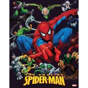  Marvel Comics Superheroes Spider Man Poster 16 x 20 inches 