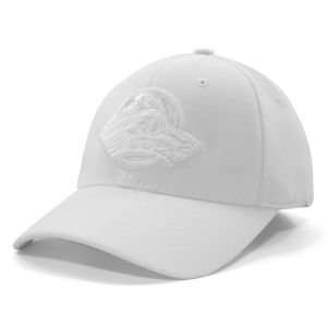  Alaska Anchorage Seawolves NCAA White On White Tonal Hat 