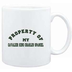   PROPERTY OF MY Cavalier King Charles Spaniel  Dogs