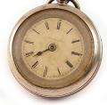 WATERBURY Series B Rotary Long Wind Pocket Watch 1882 **RARE**