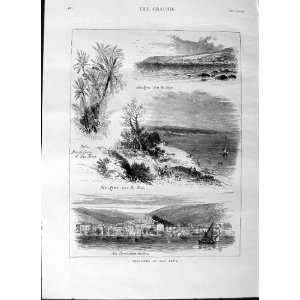 1875 SAN REMO MOLO PALMS BORDIGHERA YACHTS TREES PRINT  