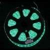 65 Spool Green LED Rope Light with Accessories  